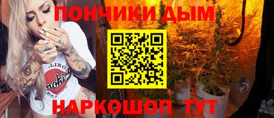 дмт Сланцы
