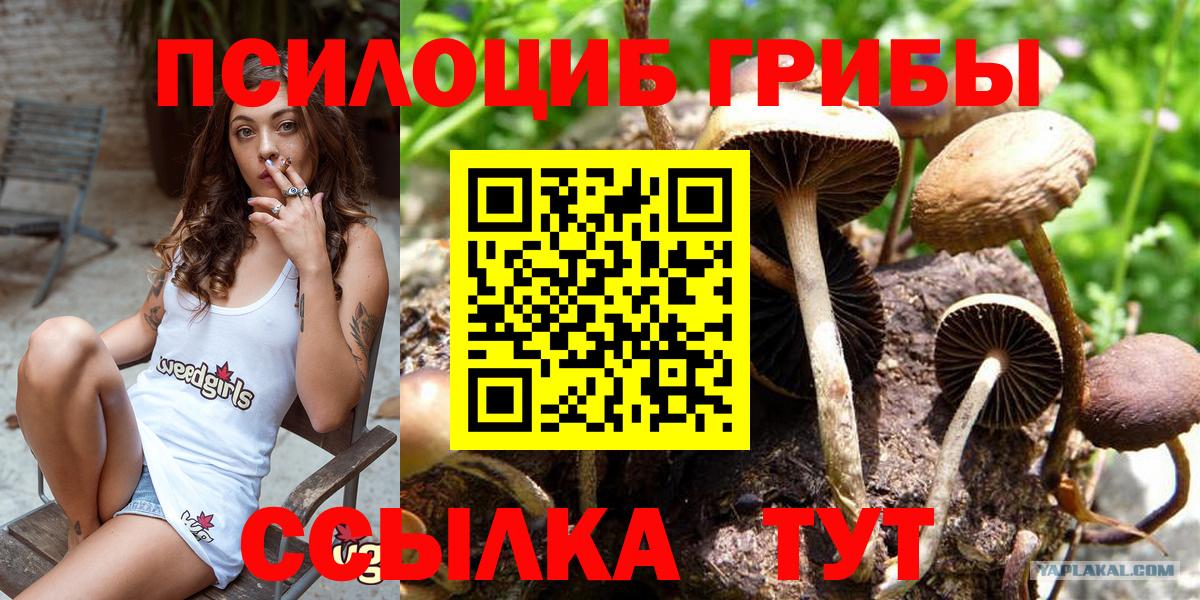 Галлюциногенные грибы ЛСД  Галлюциногенные грибы Magic Shrooms  цены наркотик  Вход с VPN  Амурск 