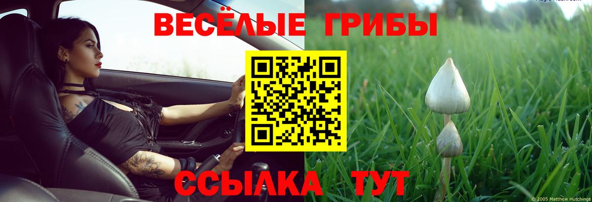 Псилоцибиновые грибы мухоморы Амурск